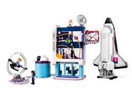 LEGO 41713 картинка 2