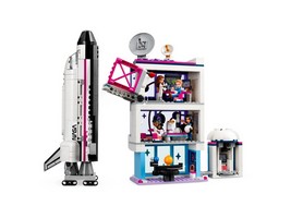 LEGO 41713 картинка 3