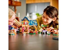 LEGO 41721 картинка 12