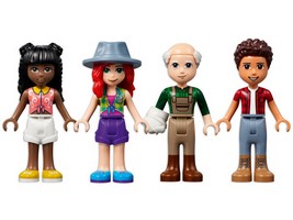 LEGO 41721 картинка 13