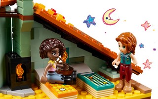 LEGO 41745 картинка 6 LEGO 41745 картинка 6