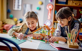 LEGO 41745 картинка 9 LEGO 41745 картинка 9