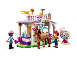 LEGO 41746 картинка 2 LEGO 41746 картинка 2