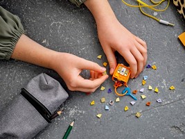 LEGO 41929 картинка 6 LEGO 41929 картинка 6