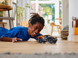 LEGO 42166 картинка 6