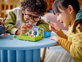 LEGO 43220 картинка 9 LEGO 43220 картинка 9