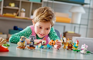 LEGO 43226 картинка 7 LEGO 43226 картинка 7