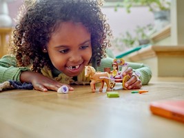 LEGO 43233 картинка 6 LEGO 43233 картинка 6
