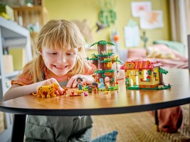 LEGO 43251 картинка 5 LEGO 43251 картинка 5