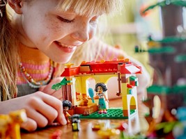 LEGO 43251 картинка 6 LEGO 43251 картинка 6