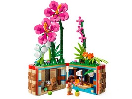 LEGO 43252 картинка 2 LEGO 43252 картинка 2