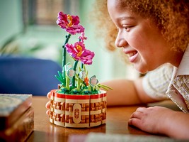 LEGO 43252 картинка 8 LEGO 43252 картинка 8
