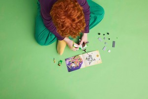 LEGO 71487 картинка 6 LEGO 71487 картинка 6