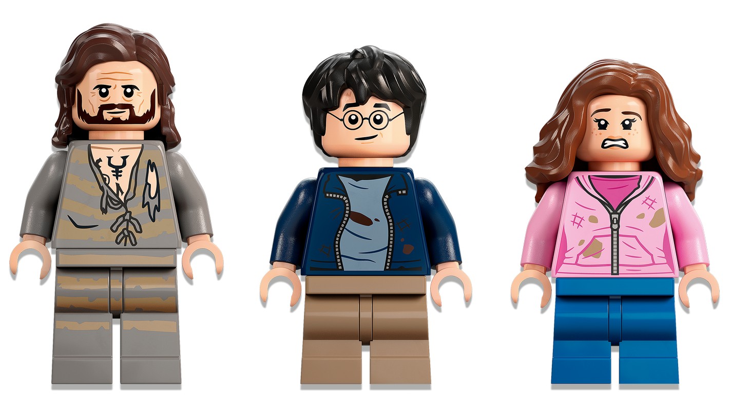 76401 LEGO Внутренний двор Хогвартса: Спасение Сириуса Harry Potter ...