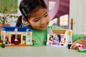 LEGO 77050 картинка 10