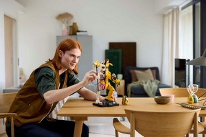 LEGO 77072 картинка 6 LEGO 77072 картинка 6