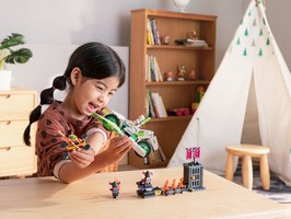 LEGO 80006 картинка 8 LEGO 80006 картинка 8