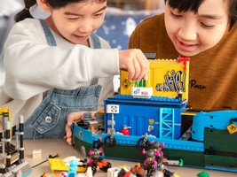 LEGO 80013 картинка 11 LEGO 80013 картинка 11